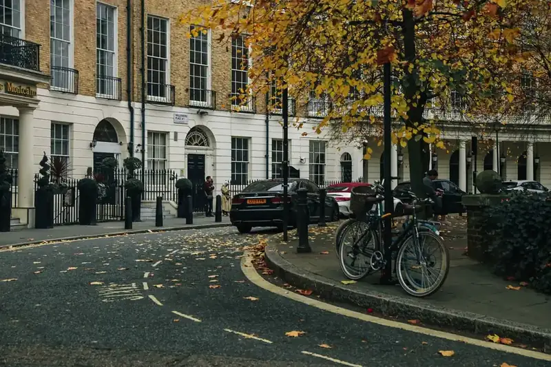 Autumn leaves covering a London street outside period houses