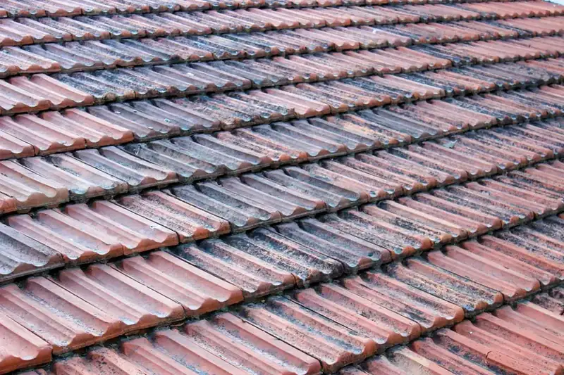 Weathered concrete interlocking roof tiles showing the distinctive roll along each edge