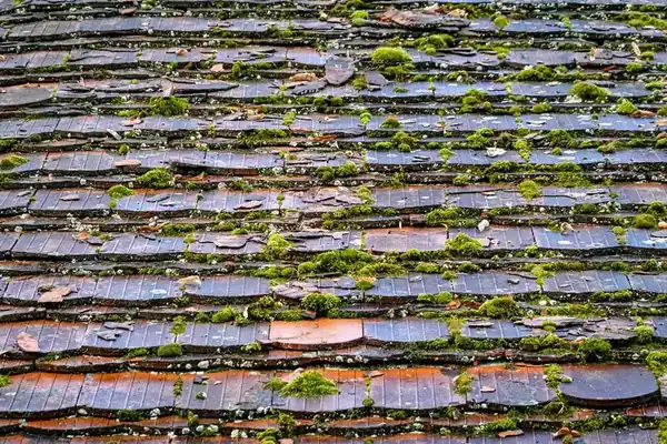 Old weathered roof tiles patched with moss