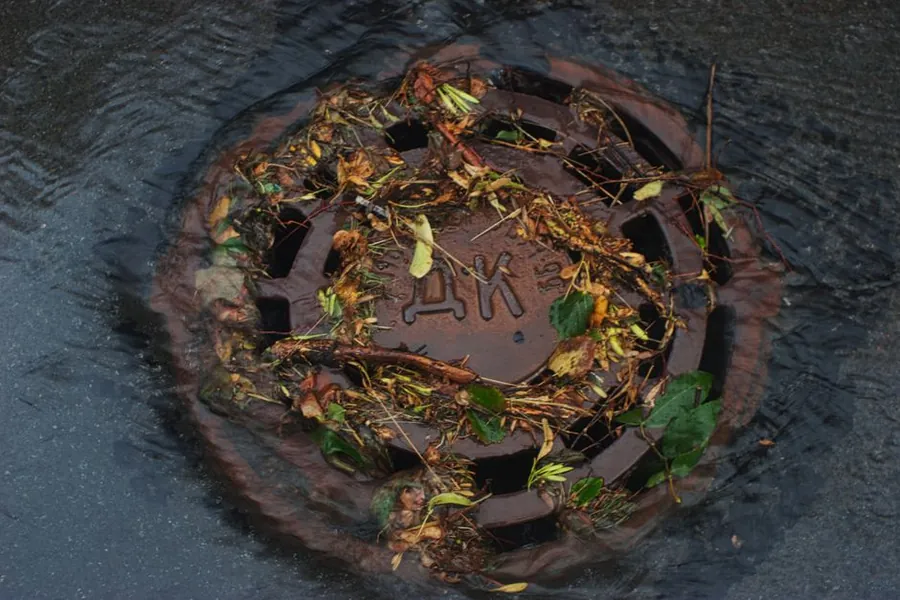 Fallen leaves blocking a drain grate during heavy rain
