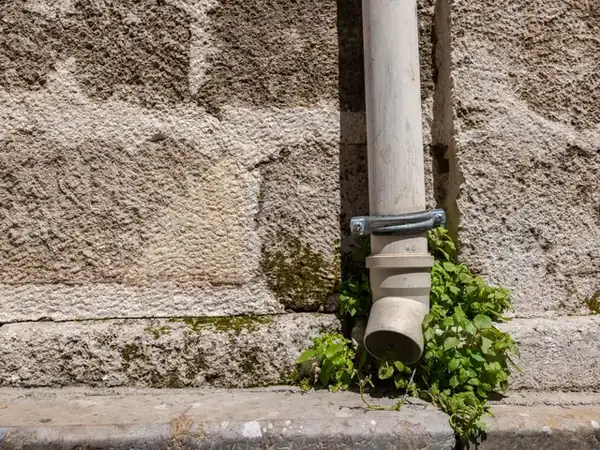 Weathered downpipe shoe at the foot of a wall with weeds growing around it