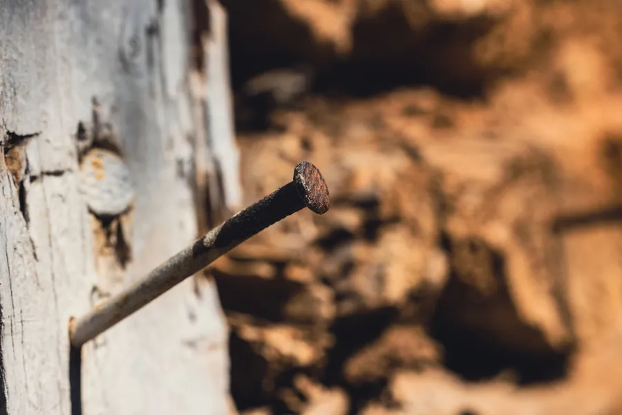 Rusted iron nail head corroding in weathered timber, the cause of nail sickness on old slate roofs