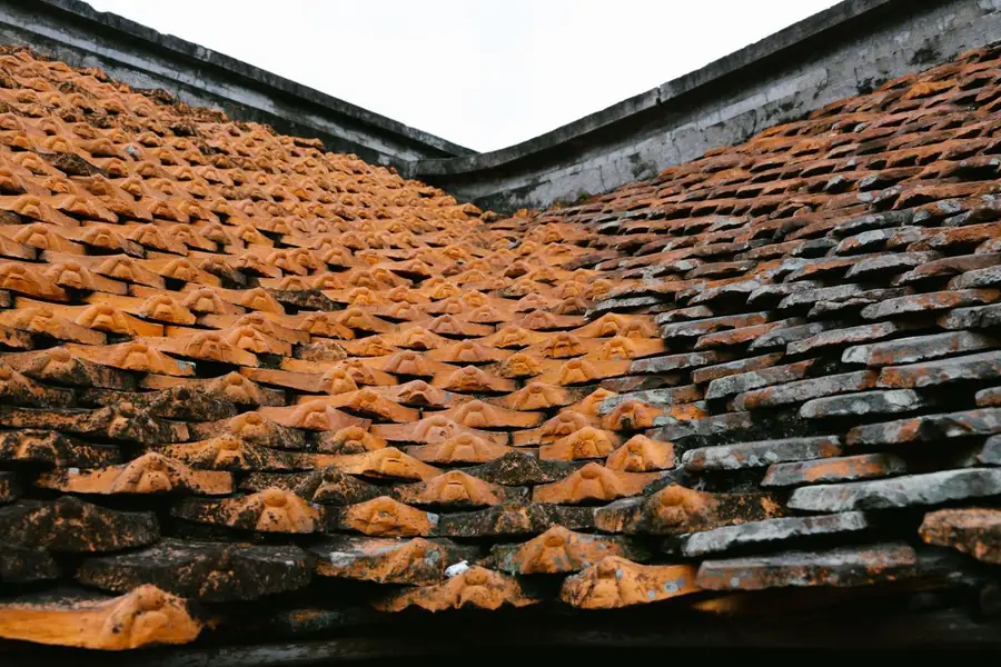 Clay plain tiles blotched with orange lichen on an older west London roof