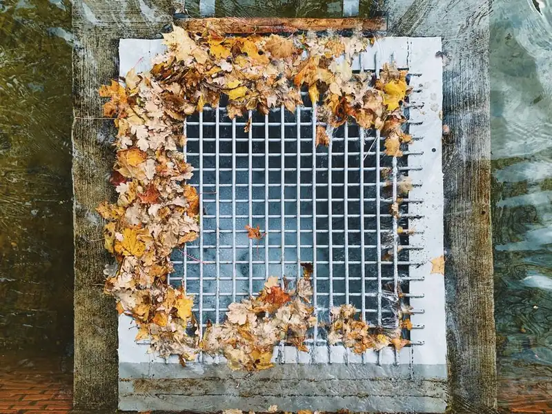 Flat roof drainage outlet blocked with leaves and silt on a Hounslow extension