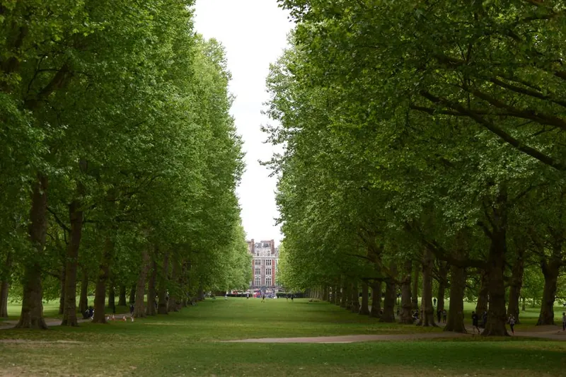 Avenue of mature trees leading through a London park
