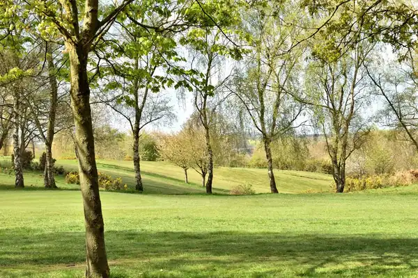Wide open parkland with mature trees under a bright sky