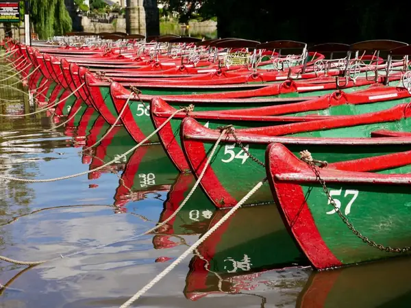Rows of traditional rowing boats moored on the river